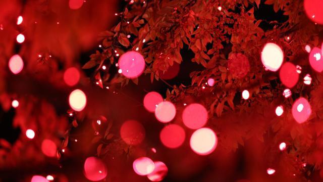 Veillée de Noël 2015 de la Première Présidence