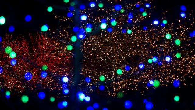 Les lumières de Noël sont enfilées dans les arbres et placées sur le sol tout au long de Temple Square et toutes sont allumées au crépuscule pour la joie de milliers de personnes.