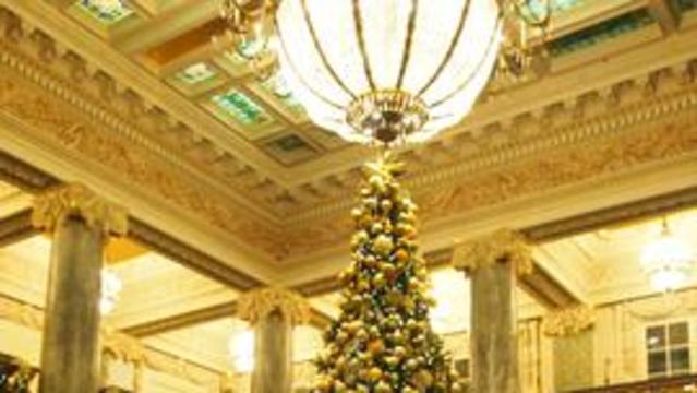Un arbre de Noël grand et joliment décoré orne le hall du bâtiment Joseph Smith au centre-ville de Salt Lake City.
